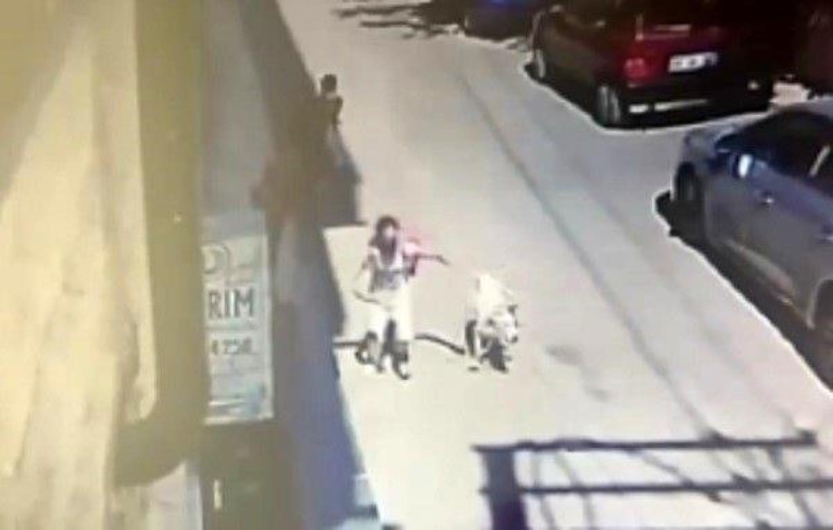 5 yaşındaki çocuğa ve bayana saldıran köpeğin sahibine mahpus talebi