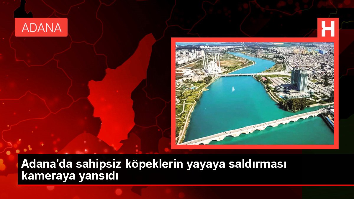 Adana'da sahipsiz köpeklerin yayaya saldırması kameraya yansıdı