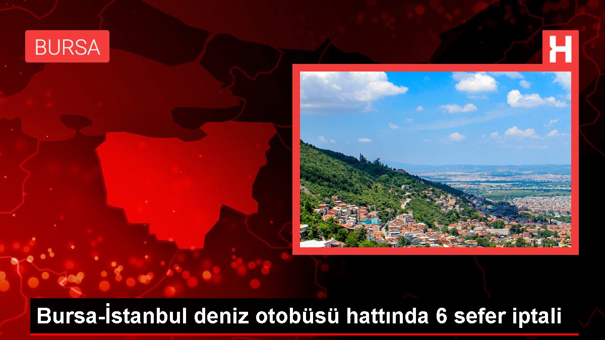 Bursa-İstanbul deniz otobüsü çizgisinde 6 sefer iptali