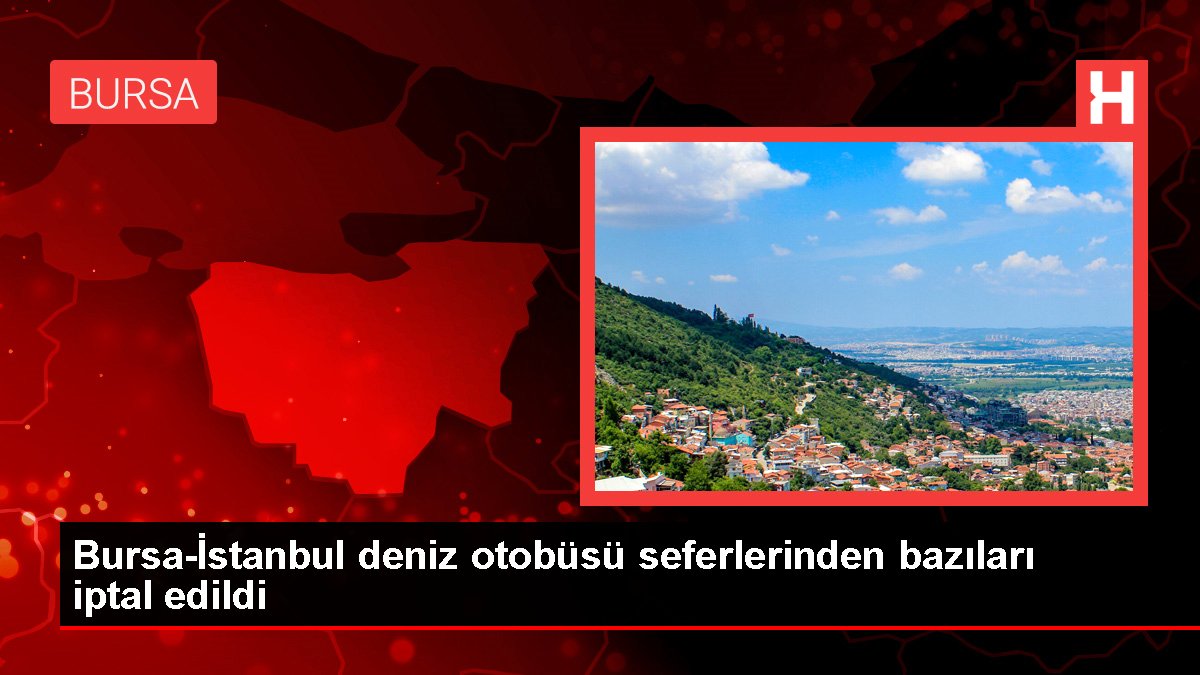 Bursa-İstanbul deniz otobüsü seferlerinden kimileri iptal edildi