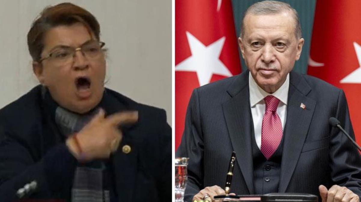 Cumhurbaşkanı Erdoğan'dan zelzeleye Hatay'da yakalanan CHP'li vekilin tezlerine karşılık