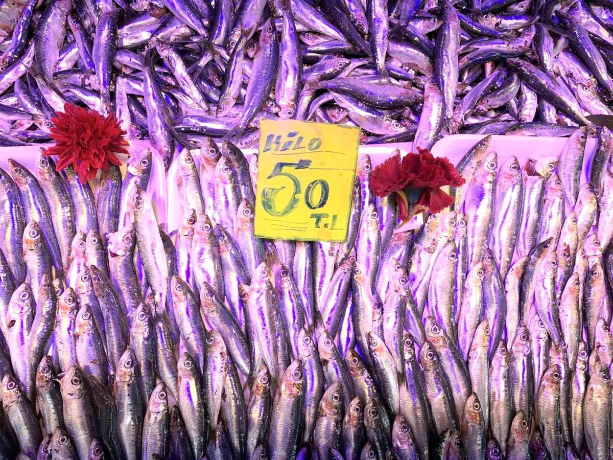 Eskişehir'de balık fiyatları