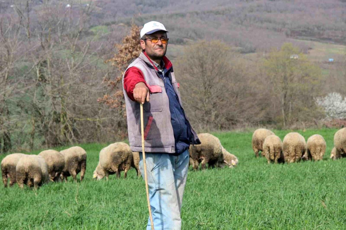 Kent hayatından sıkıldı, 55 yaşında çobanlık yapmaya başladı