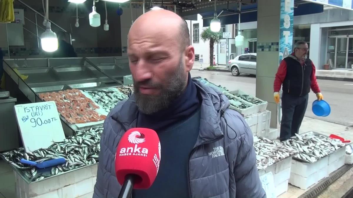 Sinop'ta Kalkan Balığının Kilosu 600 Liraya Çıktı. Sinoplu Balıkçı: "Vatandaş Kalkan Balığını Yiyemiyor Zira Çok Pahalı"