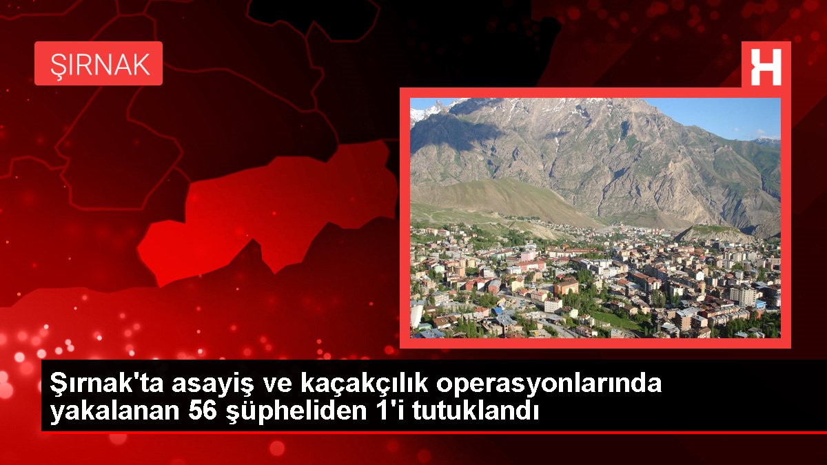 Şırnak'ta asayiş ve kaçakçılık operasyonlarında yakalanan 56 şüpheliden 1'i tutuklandı