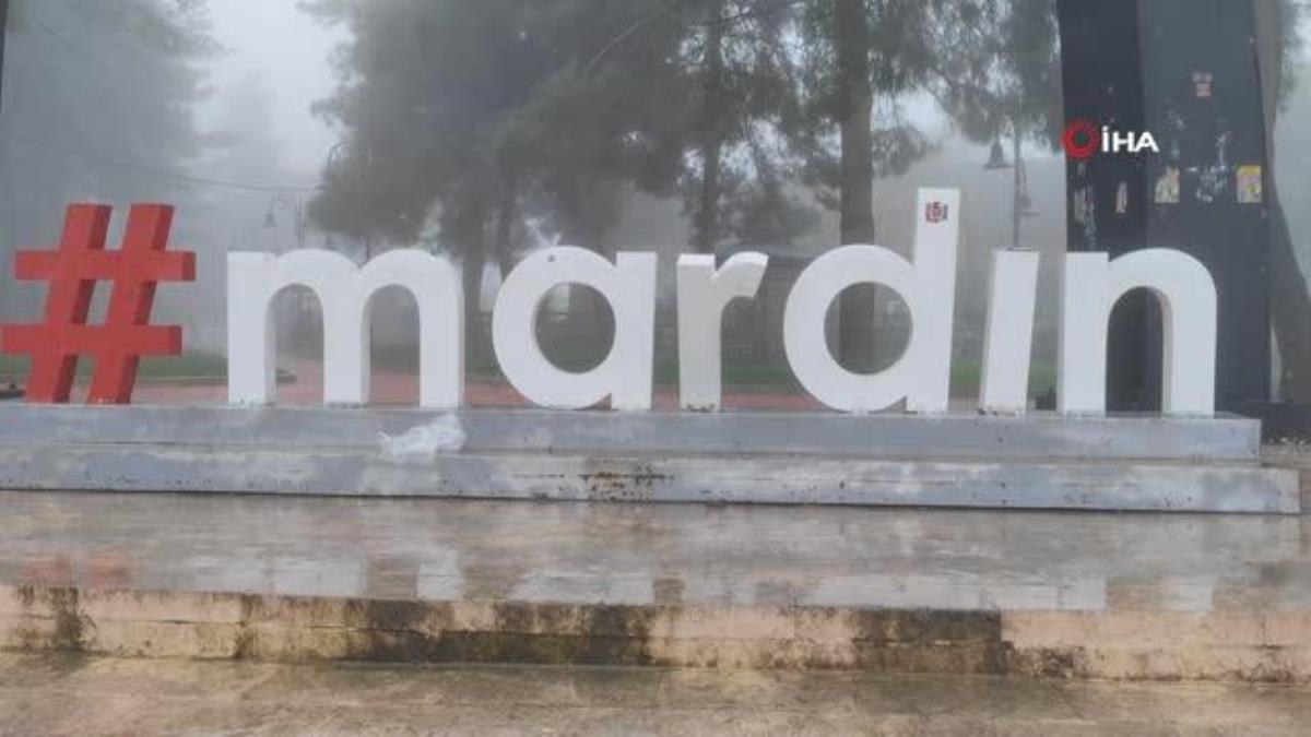 Mardin'de ağır sis tesirli oldu