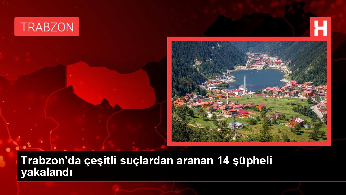 Trabzon'da çeşitli hatalardan aranan 14 kuşkulu yakalandı