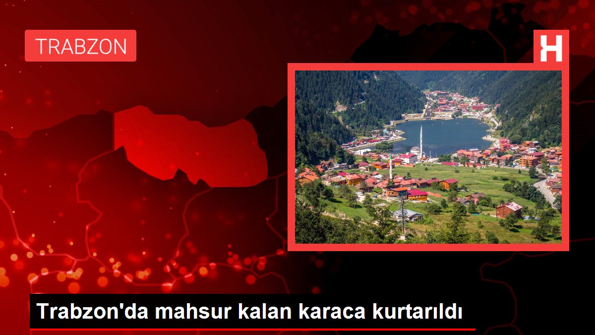Trabzon'da mahsur kalan karaca kurtarıldı