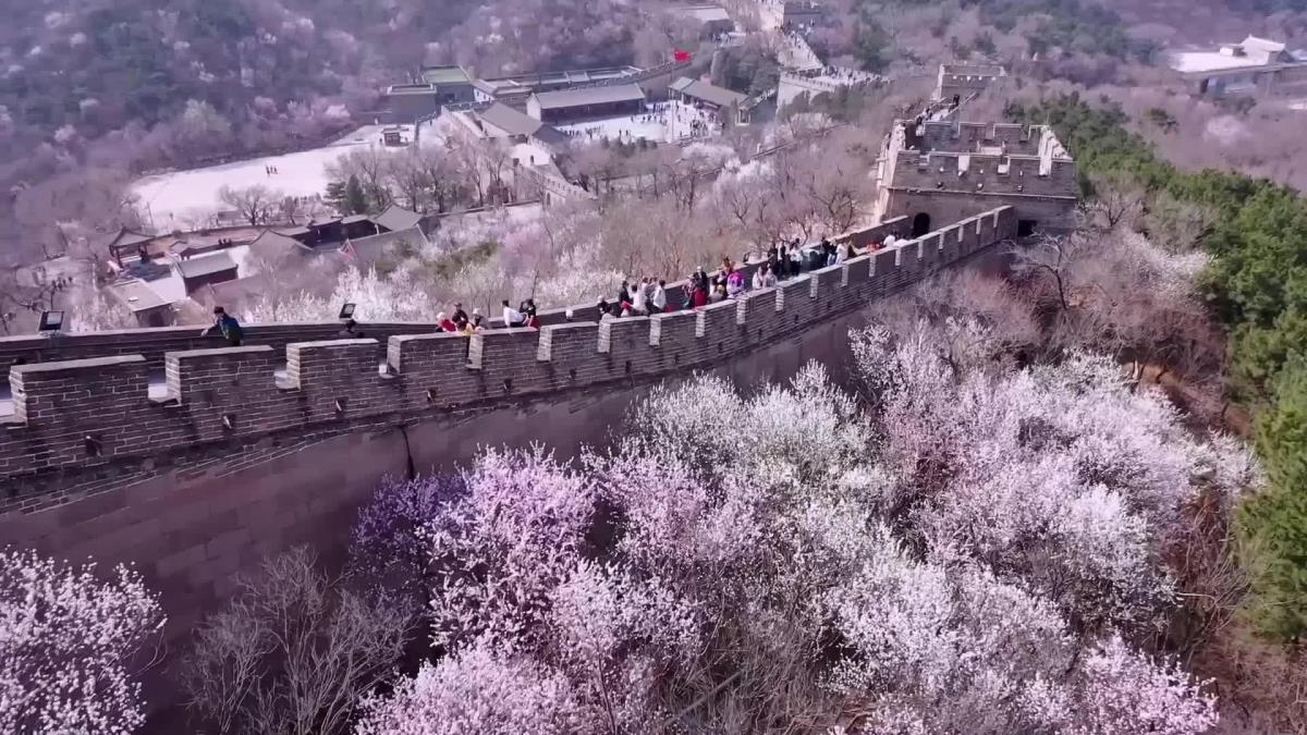 Baharın Gelişiyle Çin Seddi'ni Ziyaret Eden Turistlerin Sayısı Arttı