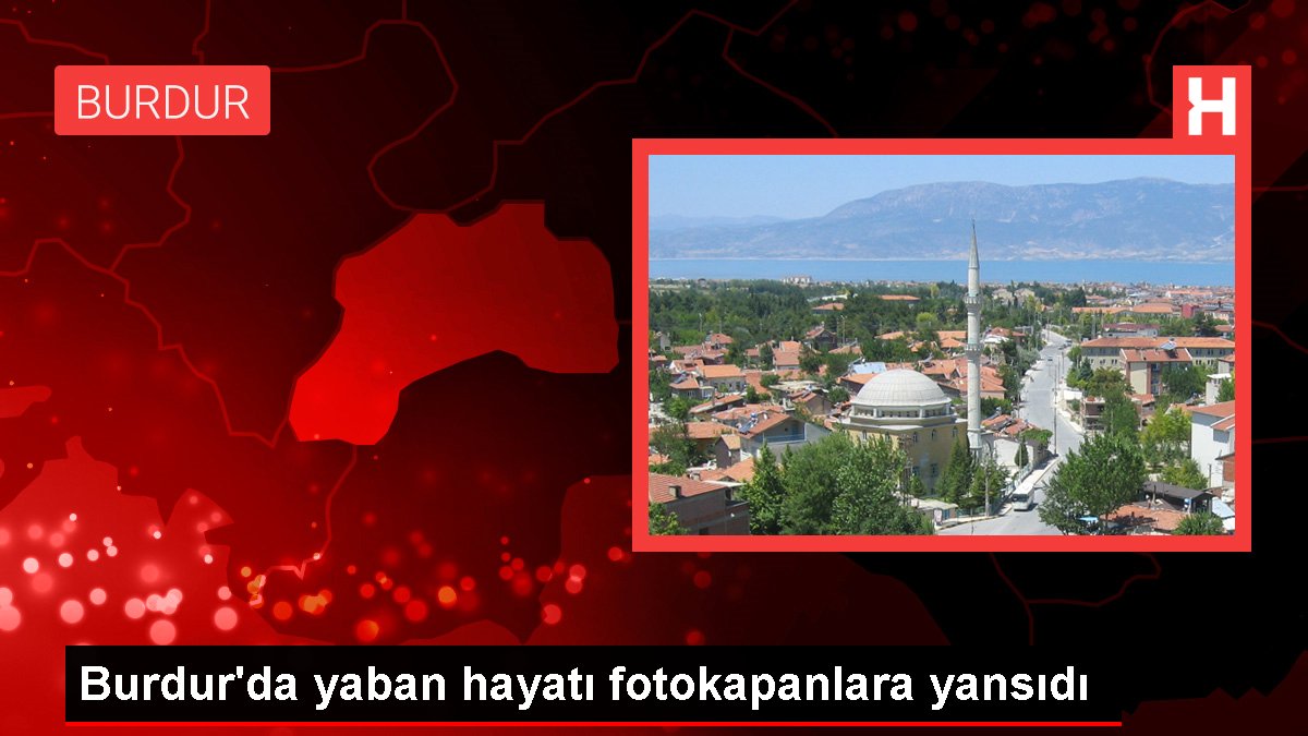 Burdur'da yaban hayatı fotokapanlara yansıdı