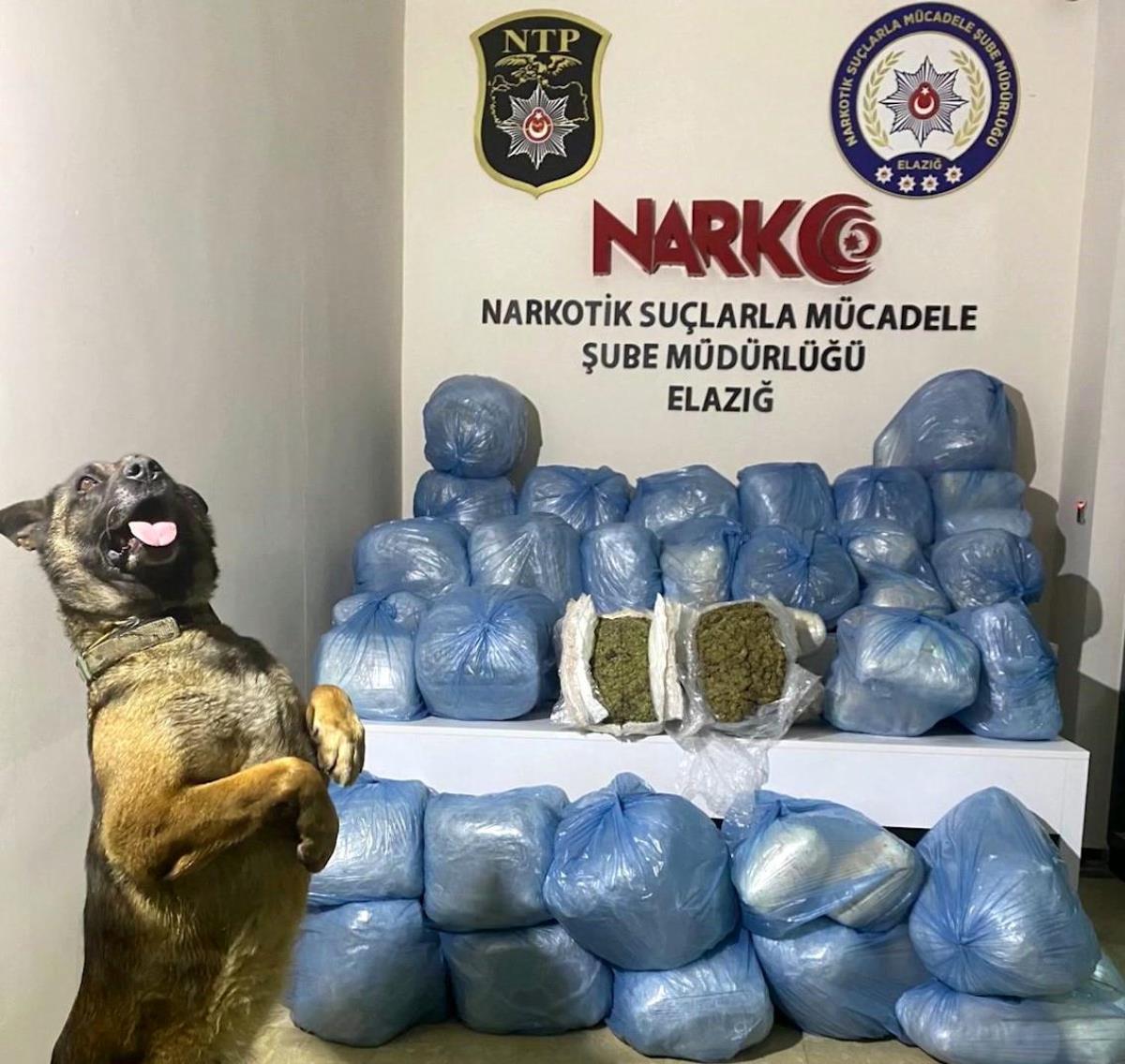 Elazığ'da 123 kilo uyuşturucu husus ele geçirildi: 11 tutuklama