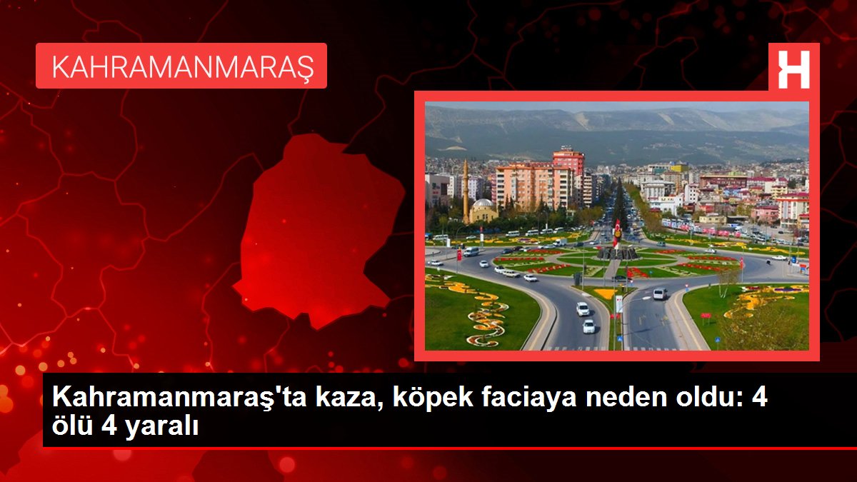 Kahramanmaraş'ta kaza, köpek faciaya neden oldu: 4 meyyit 4 yaralı