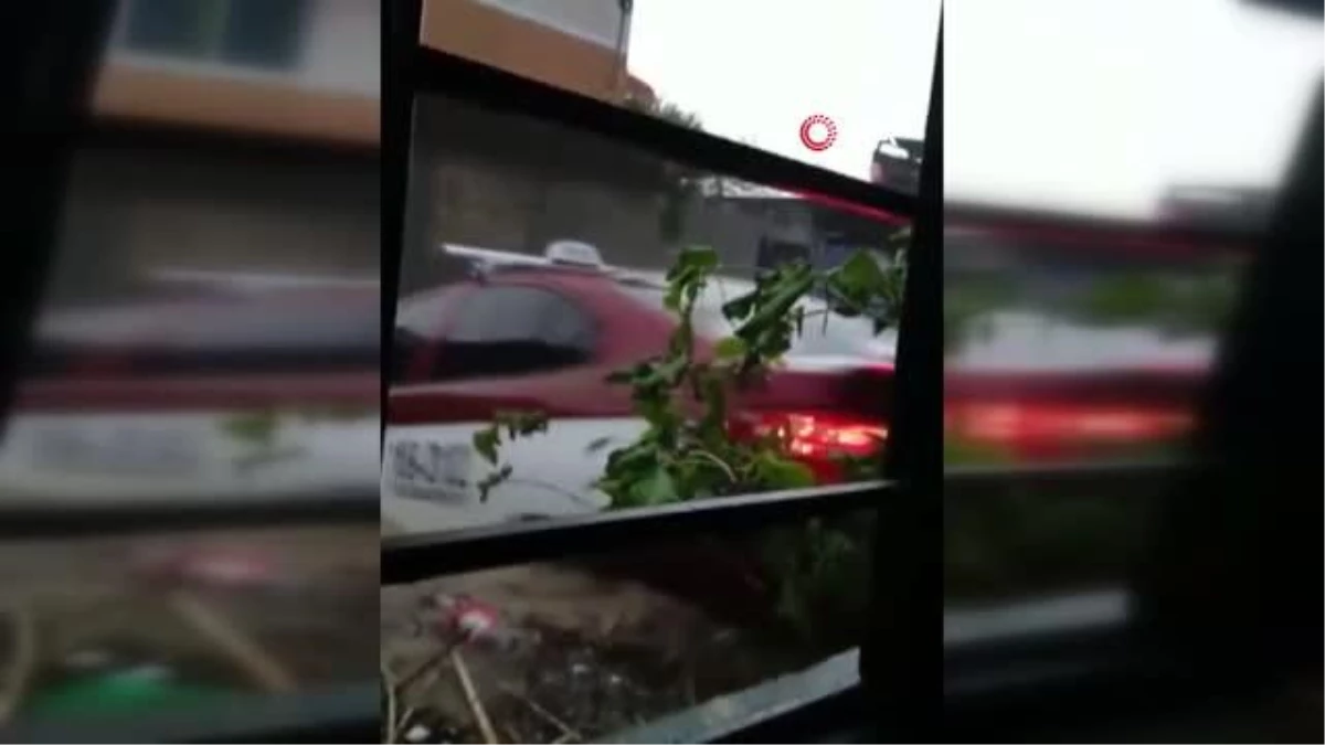 Meksika'yı fırtına vurdu