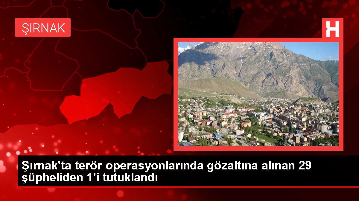 Şırnak'ta terör operasyonlarında gözaltına alınan 29 şüpheliden 1'i tutuklandı