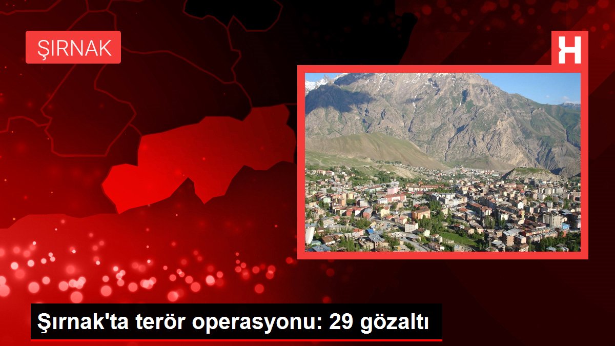 Şırnak'ta terör operasyonu: 29 gözaltı