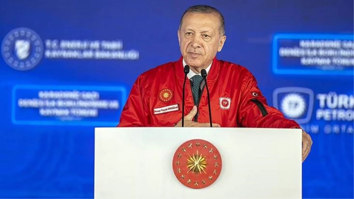 Son Dakika: Cumhurbaşkanı Erdoğan muştuyu verdi: Tüm Türkiye'de doğal gaz kullanımı 1 ay fiyatsız olacak