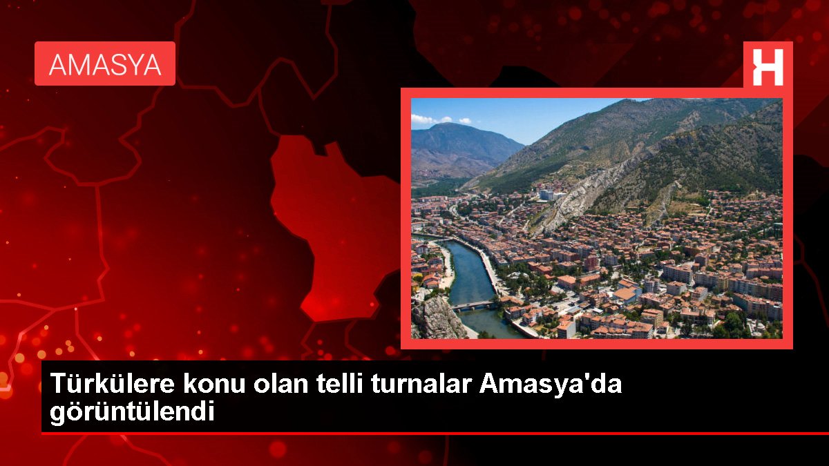 Türkülere mevzu olan telli turnalar Amasya'da görüntülendi