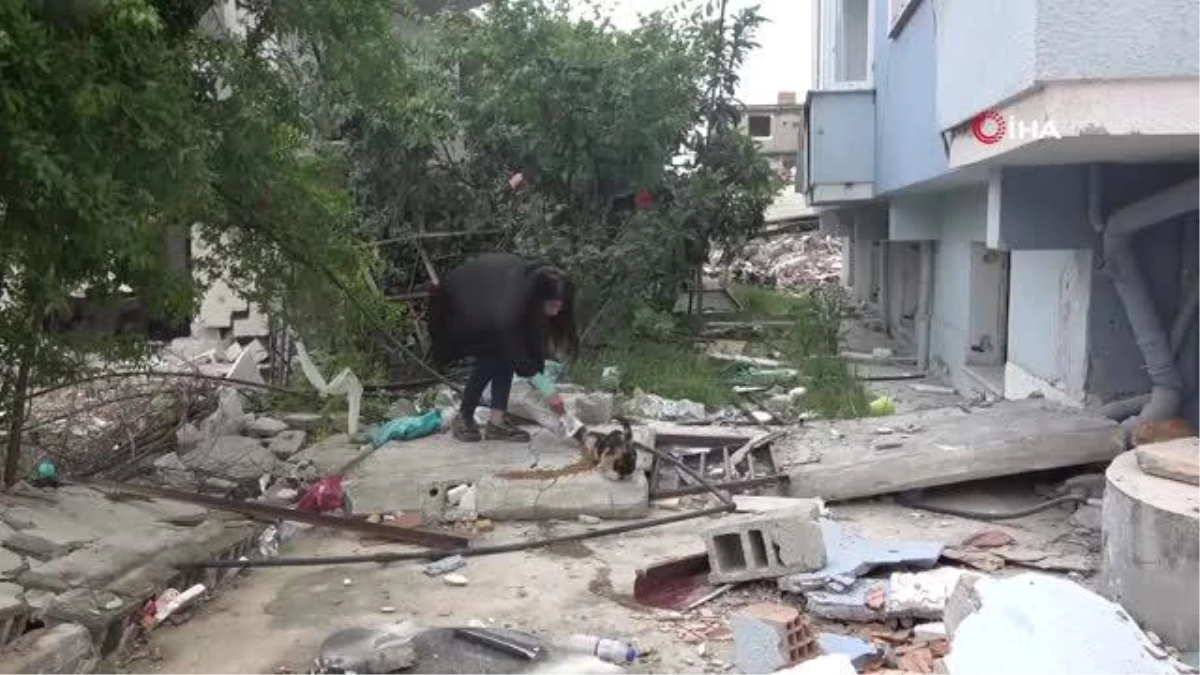 83 gündür 'Kekik' isimli kediyi yıkık binalar ortasında arıyorlar