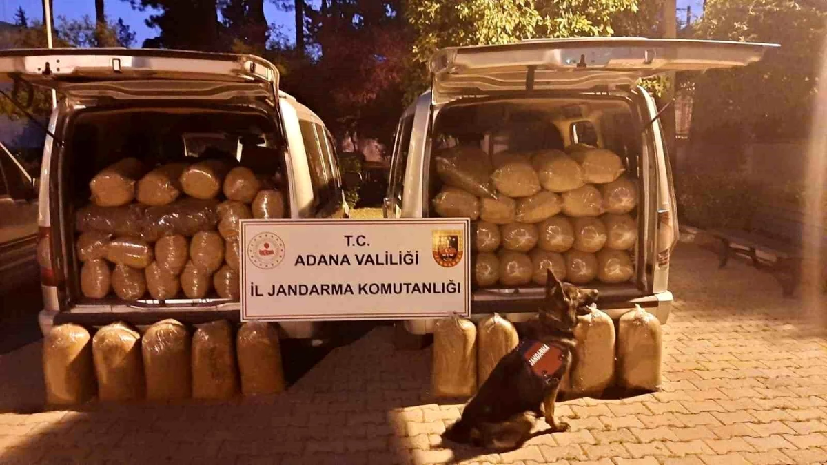 Adana'da 650 kilo kaçak kıyılmış tütün ele geçirildi