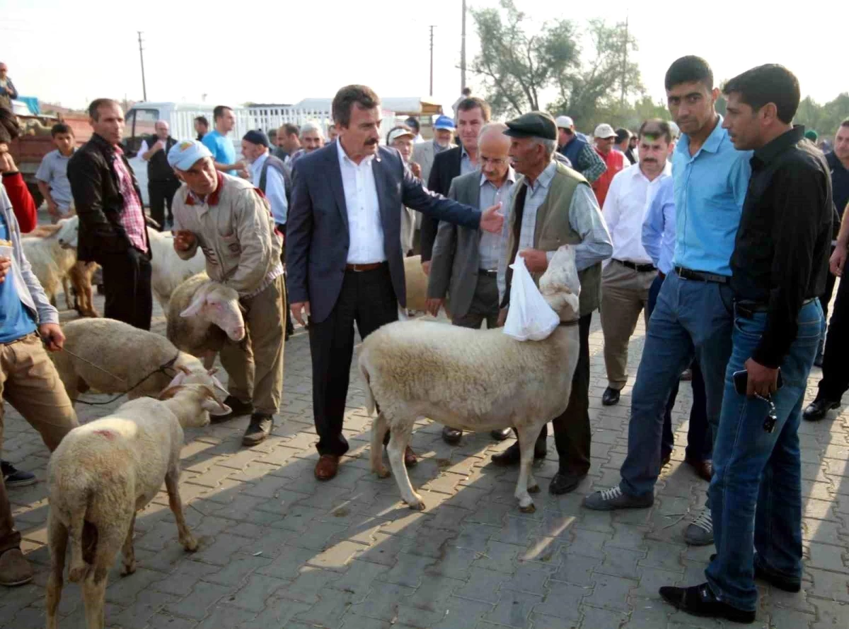 Bursa'da hayvan pazarları açılıyor