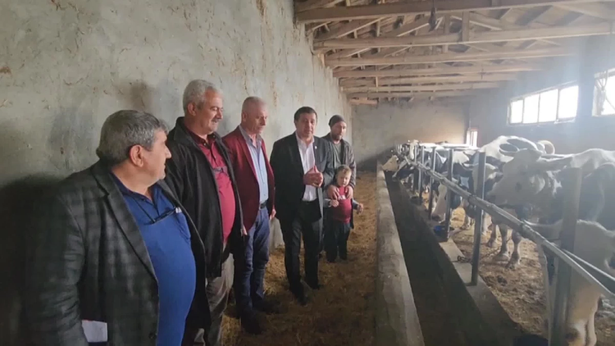 CHP Edirne Milletvekili Gaytancıoğlu: "Destekleme Yapmazsanız Süt Hayvanları Eti İçin Kesilir"