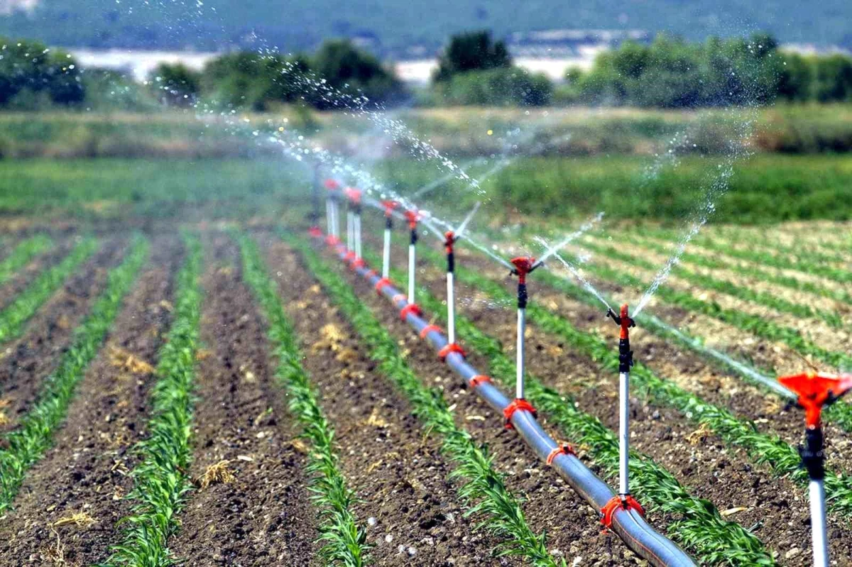 Çiftçinin ziraî sulama fiyatının yüzde 50'si devletten