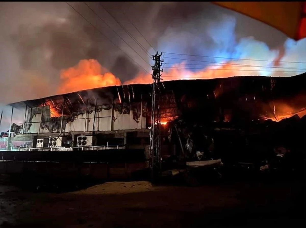 Elazığ'da tavuk fabrikası alev alev yandı