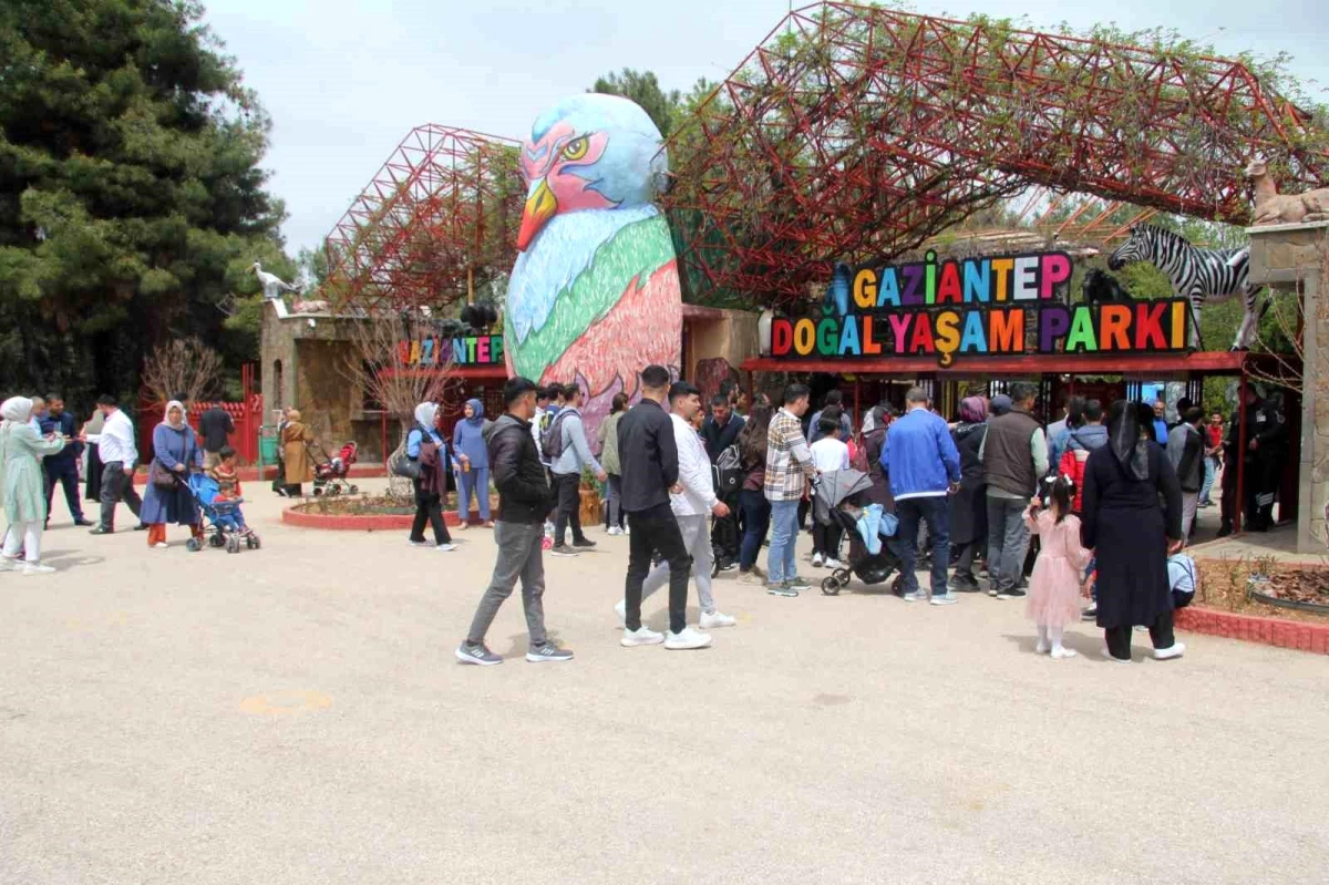 Hayvanat bahçesini bayramın birinci 2 gününde 12 bin kişi ziyaret etti