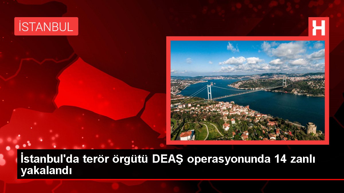 İstanbul'da terör örgütü DEAŞ operasyonunda 14 zanlı yakalandı