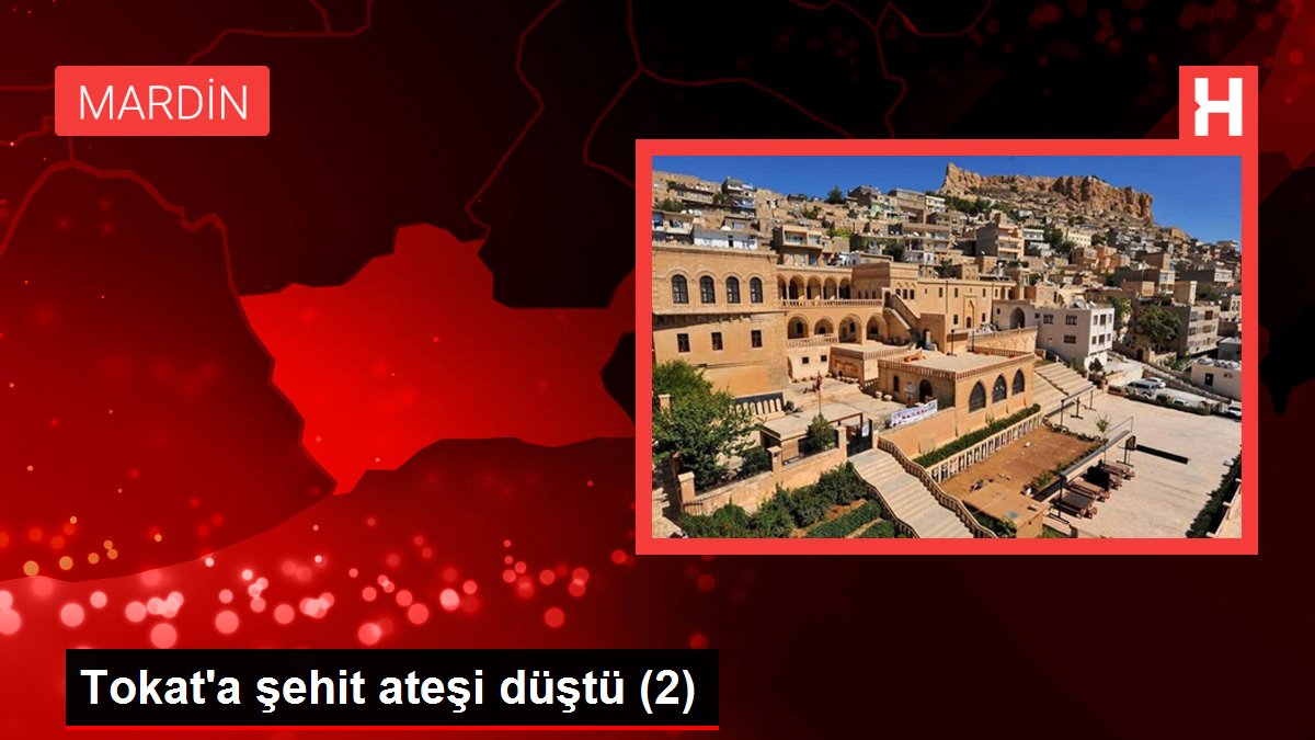 Mardin'de Terör Operasyonu: 1 Şehit, 1 Yaralı