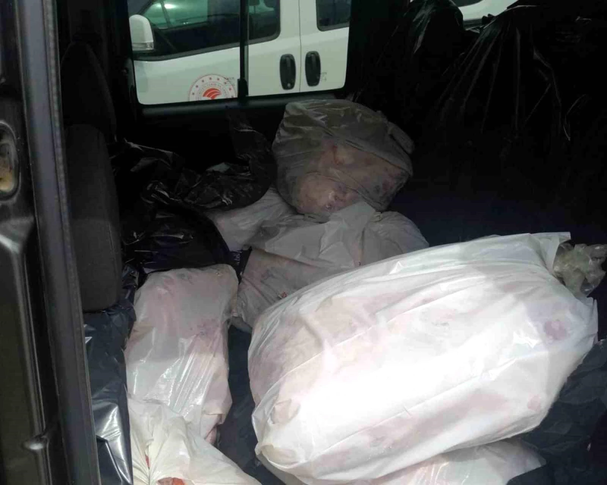 Menteşe'de 563 kilo kaçak et yakalandı