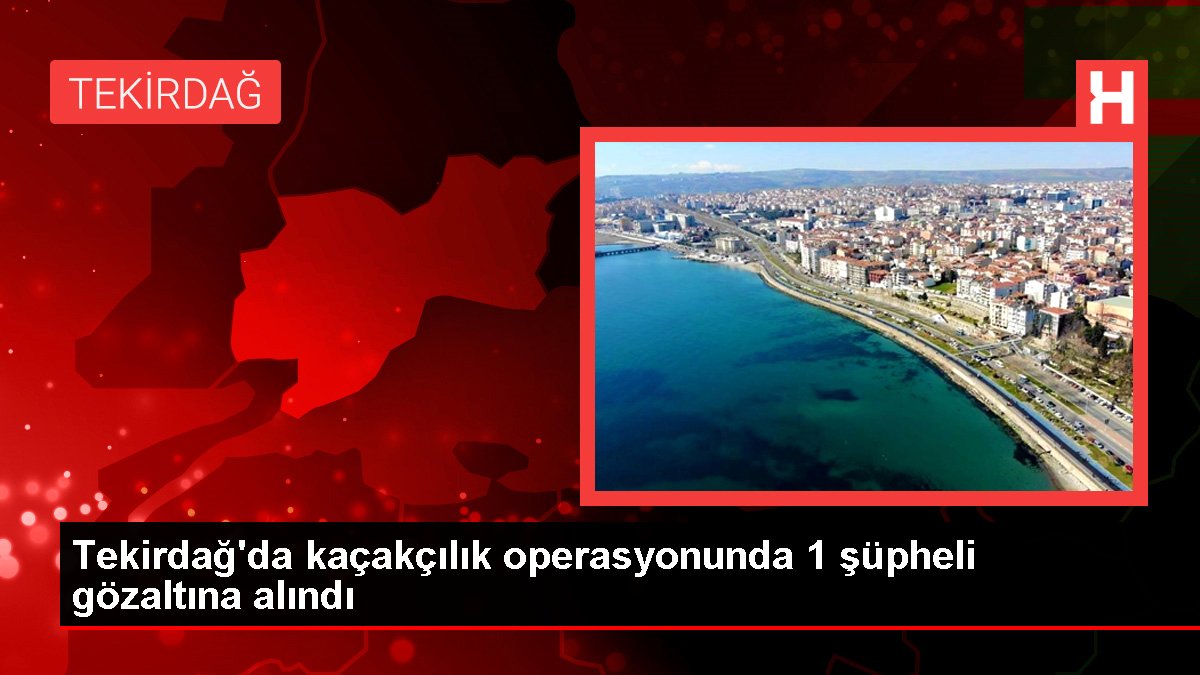 Tekirdağ'da kaçakçılık operasyonunda 1 kuşkulu gözaltına alındı
