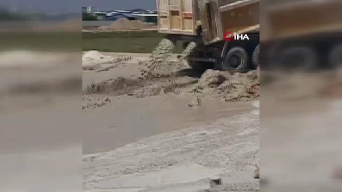 Yavru köpeklere beton atık suyu katliamı
