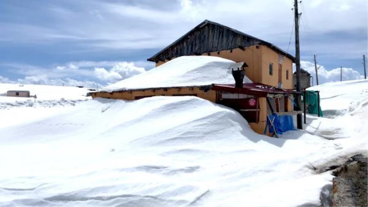 Ardahan'daki Bülbülan Yaylası nisan ayında hala karla kaplı