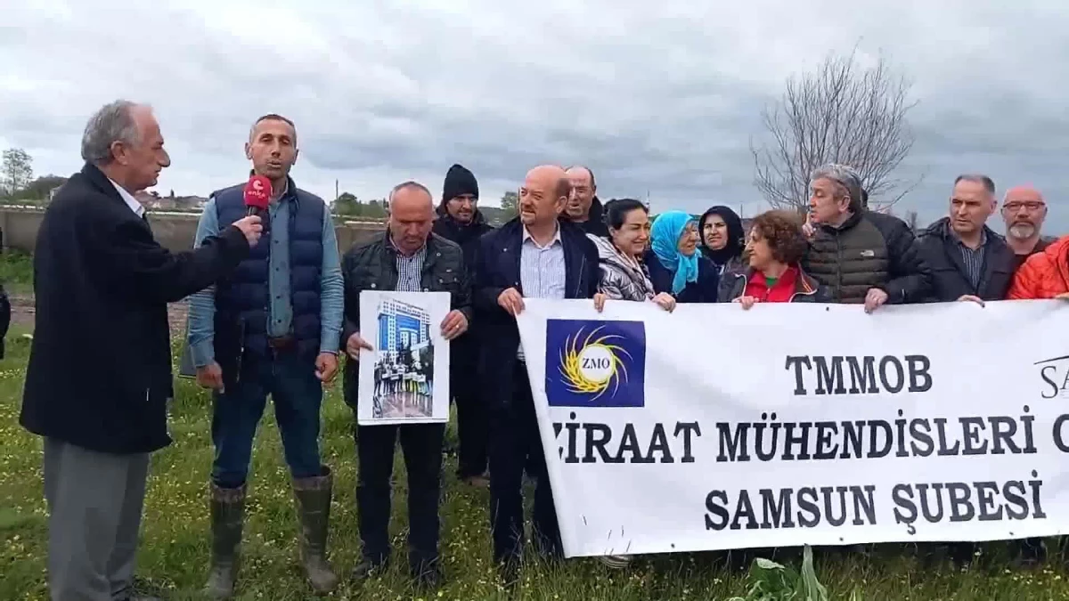 Bafralı Çiftçiler, Samsun Büyükşehir Belediyesi'nin Hal Porjesine Reaksiyon Gösterdi: "Bu Bölge, Sit Alanında Olup, Dere Yatağı Niteliğindedir.