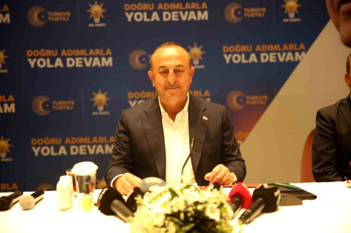 Çavuşoğlu: "Karşımızda yerli ve ulusal bir muhalefet yok"