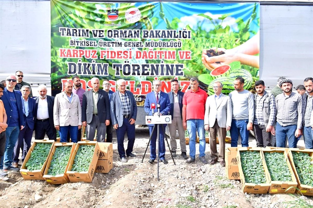 Diyarbakır'da 115 bin karpuz fidesi dağıtıldı