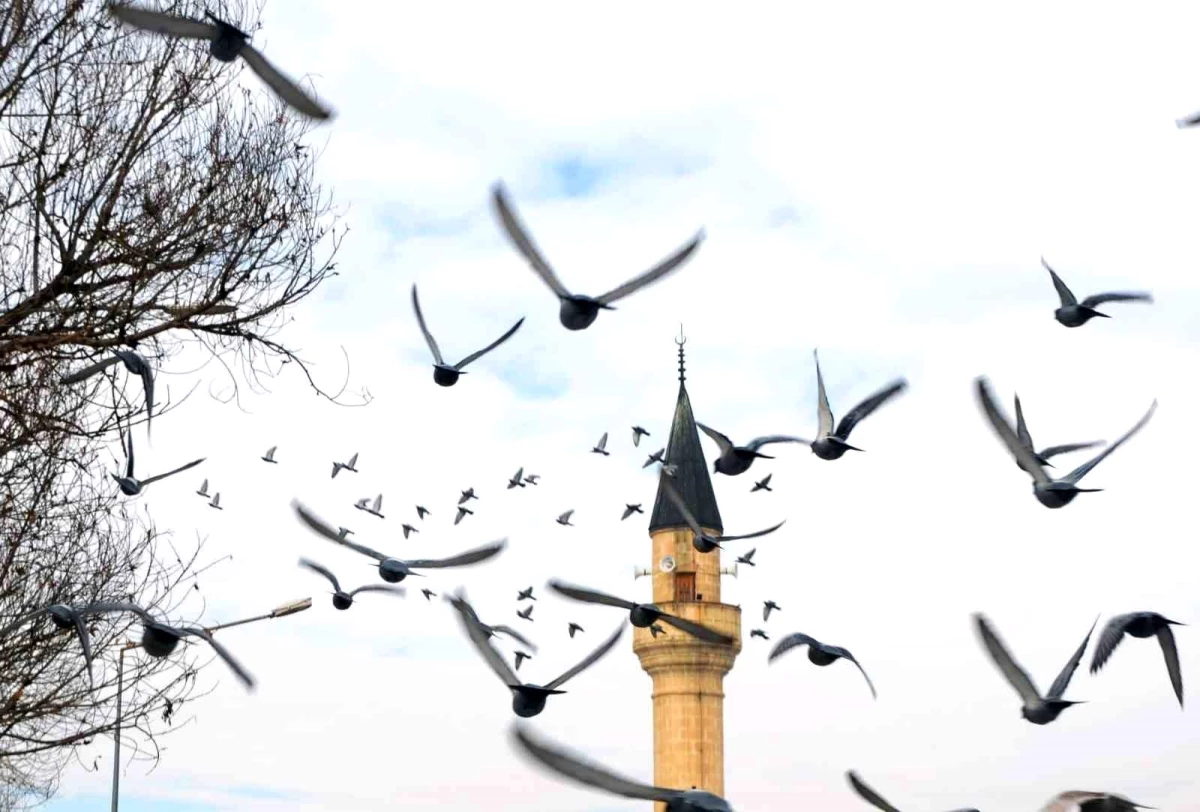 Erzurum'da bin 601 cami bulunuyor