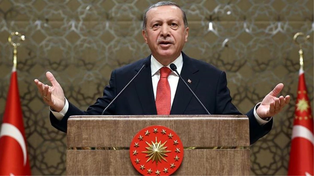 Cumhurbaşkanı Erdoğan'dan yurt dışındaki vatandaşlara davet: Sandıkları bir defa daha sahip çıkmanızı bekliyorum