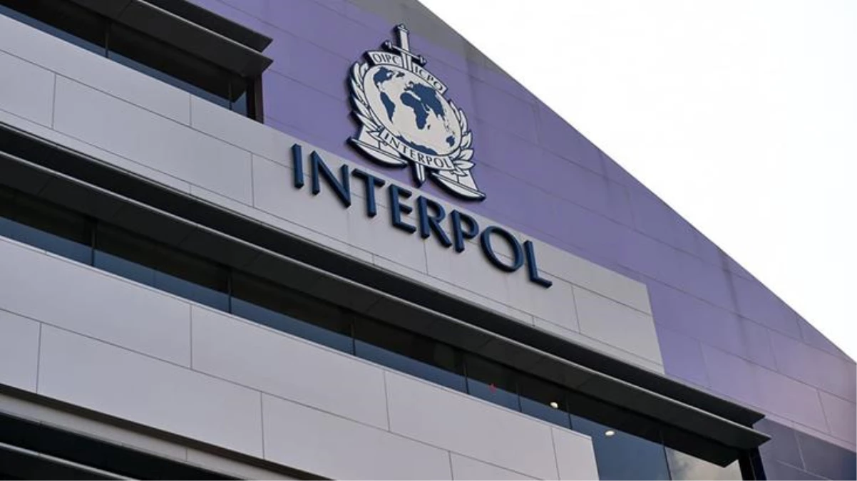 Interpol tarihinde bir ilk! 22 bayanın kimliğini tespit etmek için halkın yardımına başvurdu