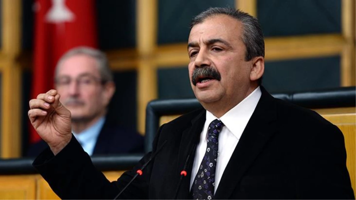 Yeşil Sol Parti'den aday olan Sırrı Süreyya Lider Meclis'e girdi
