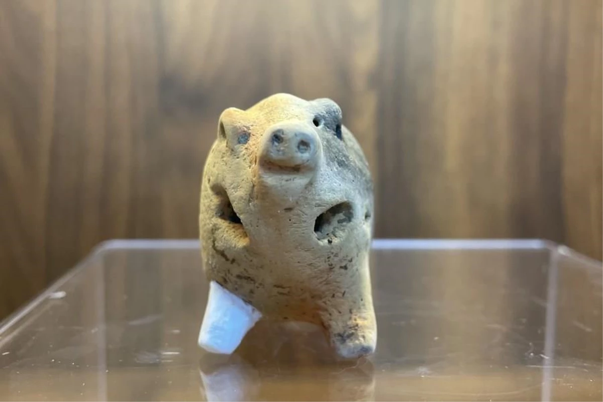 Çin'de 6000 yıllık domuz formunda çömlek kesimi bulundu
