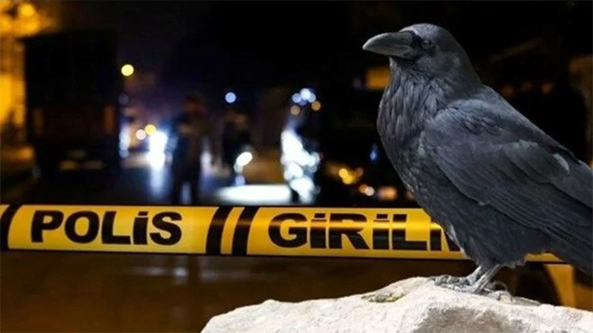 İstanbul'da karga tarafından bulunan parmakların neşterle kesilmiş olduğu ortaya çıktı